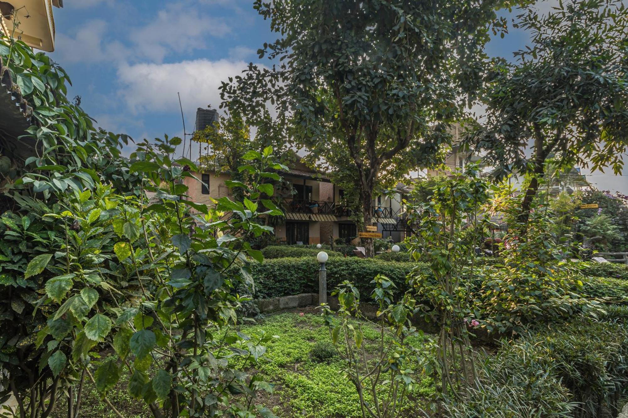Hotel Riverside With Swimming Pool Sauraha Esterno foto